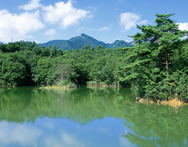 新地の中里