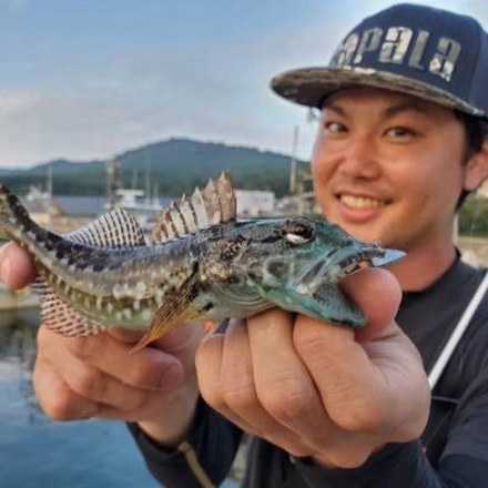 アナハゼティ りゅうさん