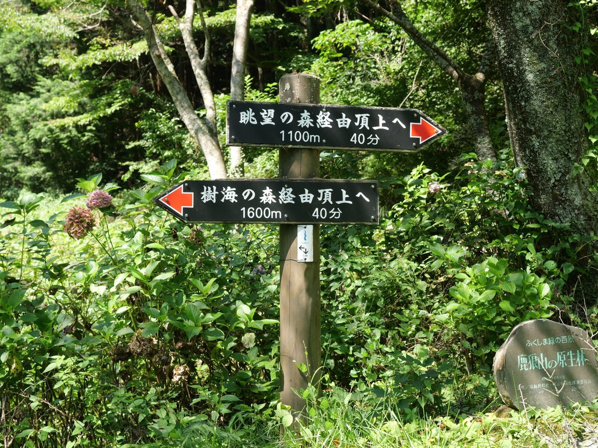 分岐の道標。眺望の森経由で山頂まで1100メートル40分、樹海の森経由で1600メートル40分と書かれている